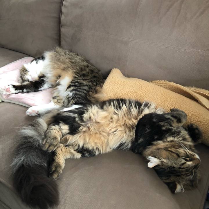 9bd8ee10 ae03 4753 88f6 e11391de5749 1572587745938