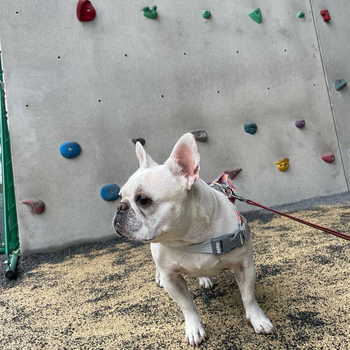 9bd8f5c7 4539 4736 9441 2298e76d27bb 1749597525334