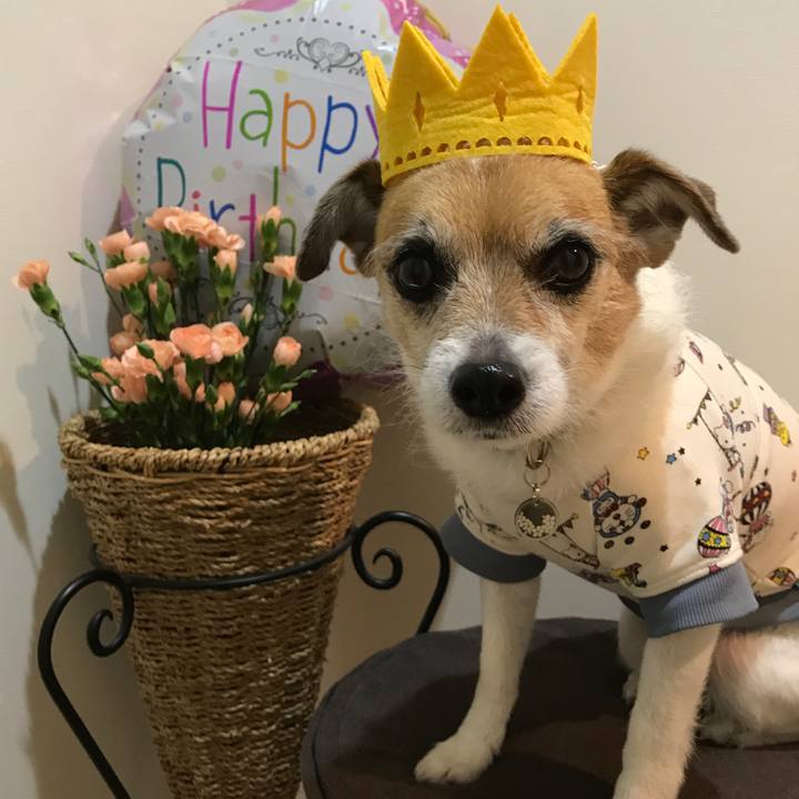 9bd908f8 d552 41d2 bd97 e6c109f89181 1584698408429