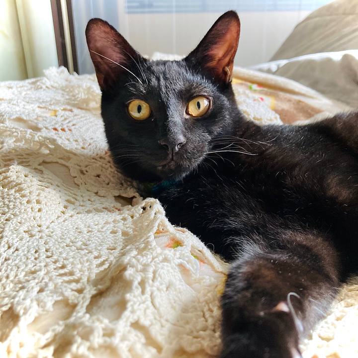 9bd91a8a cb28 47fb 9d8a 4dd92a66b37b 1635210310740