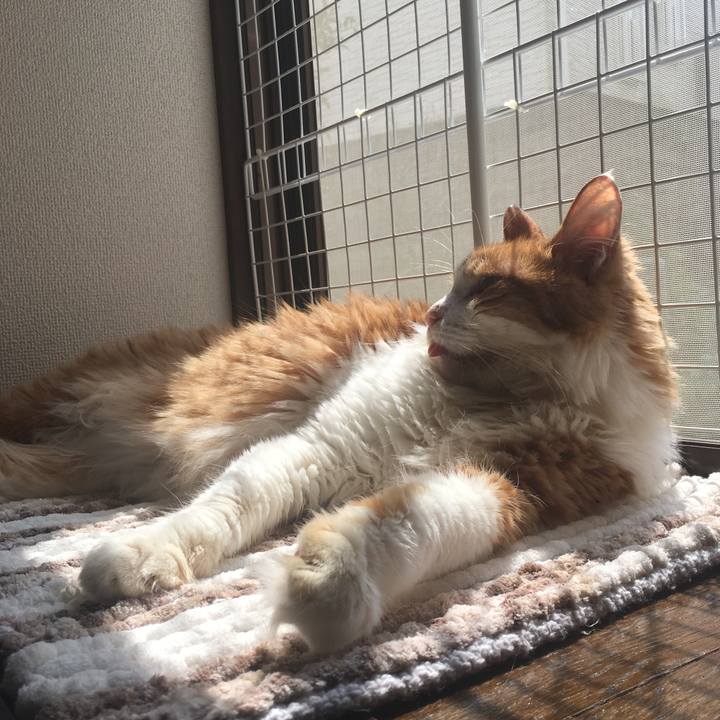 9bd9260b 046d 41d8 b981 594ffa7a3e04 1568350926446