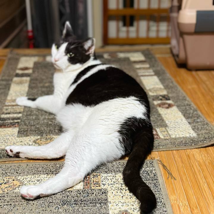 9bd94c19 1c5b 4784 a700 ded9dde218a0 1684117577230