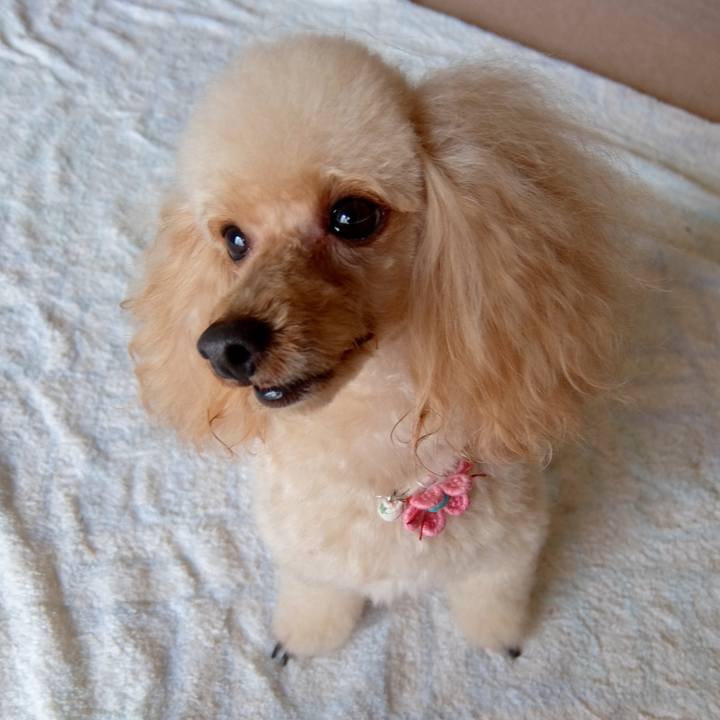 9bd94f51 47df 40d9 a0ec 17cbd5fcd7bb 1507969673781