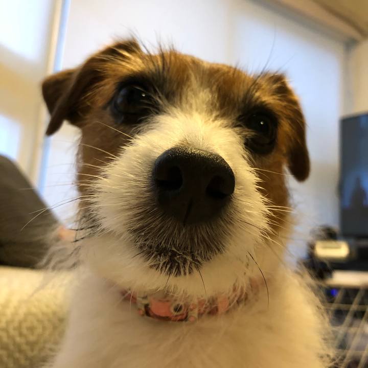 9bd99537 e703 47b8 9571 07995aff9a6f 1617530248782