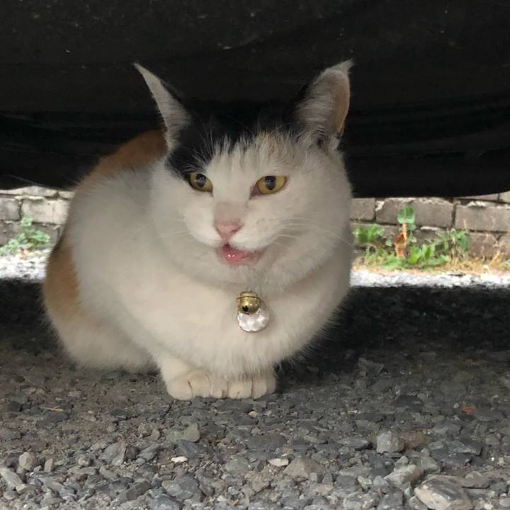 9bda23ad eafd 4693 84ba e8098c711631 1608589770661