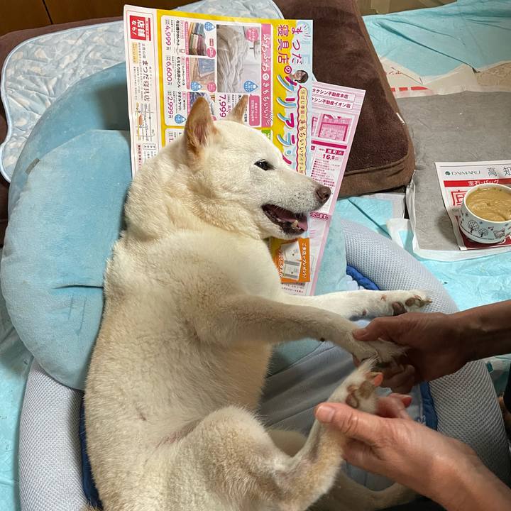 9bda432b 07d9 40af 9092 9d387eb6b451 1655546855482