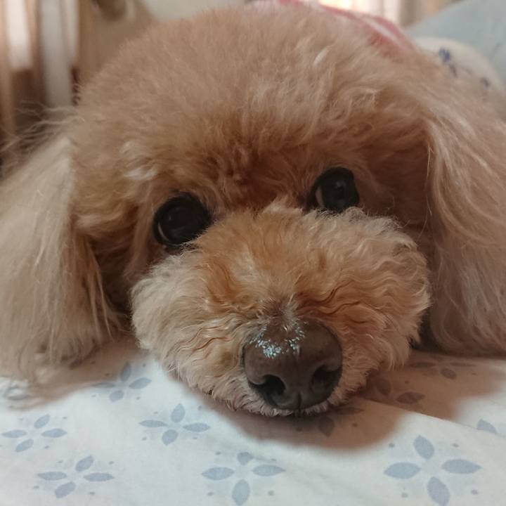 9bda7bb8 01df 4ccc 8ad0 d2dd17f0f4fd 1586820125677