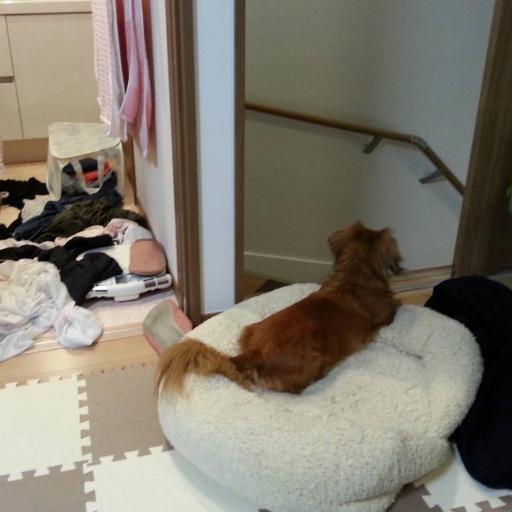 9bda7ff8 cf63 4b01 90f6 f566f031aa94 1553089427266