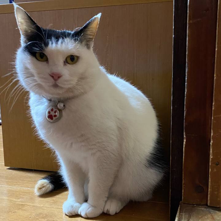 9bdac264 7829 4916 93e9 382bc5458261 1643897867293