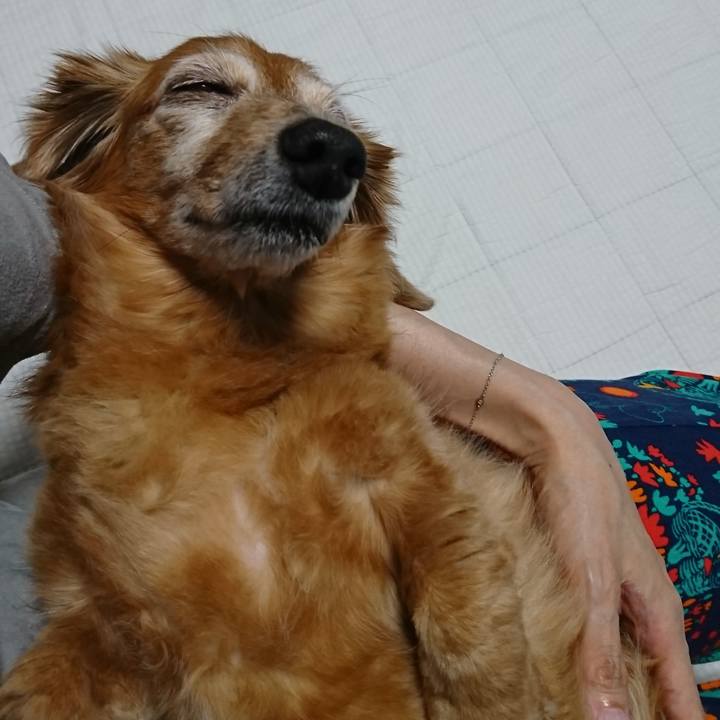 9bdac96f db4d 4c60 a87d 3f577cfcc42a 1566672911213