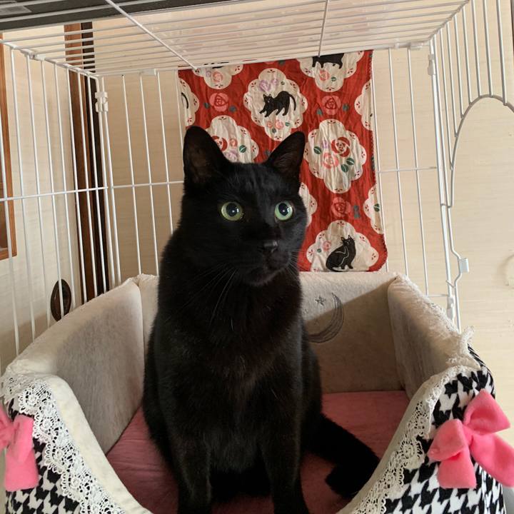 9bdacc14 12e1 439f bed0 160a29f7fb3a 1547772626869