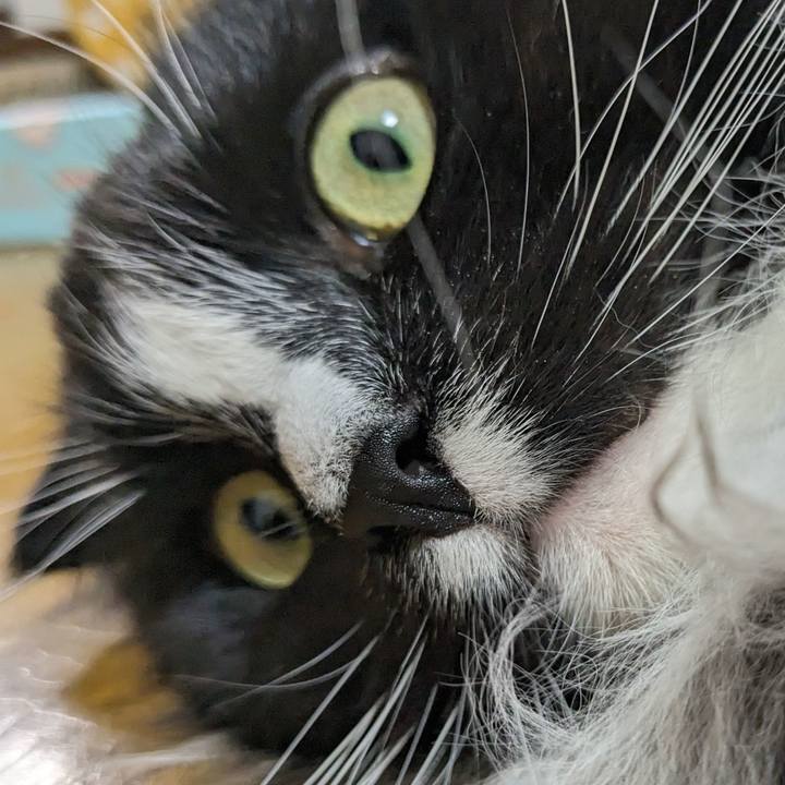 9bdb4431 3236 4578 a70d 4ef15e898705 1708263018709