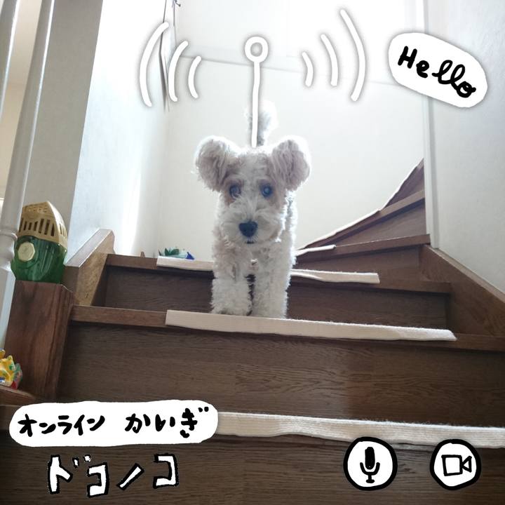 9bdb4b2c 25f4 494e b055 162f06f809cd 1594053606469