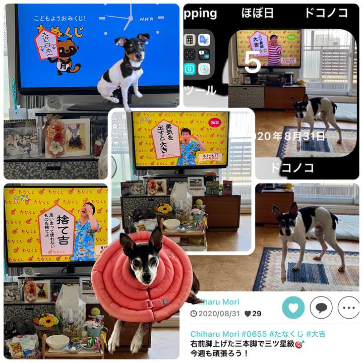 9bdbf096 d4f4 4731 ad7f ed7cd90c1b03 1662330863403