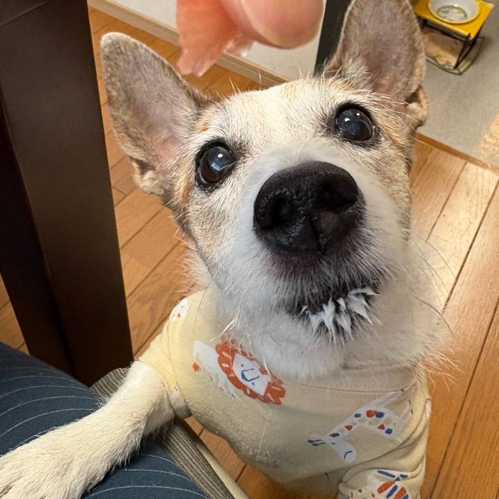 9bdc010a 56f4 4dbd a158 f2c2a1b3efae 1753917158323