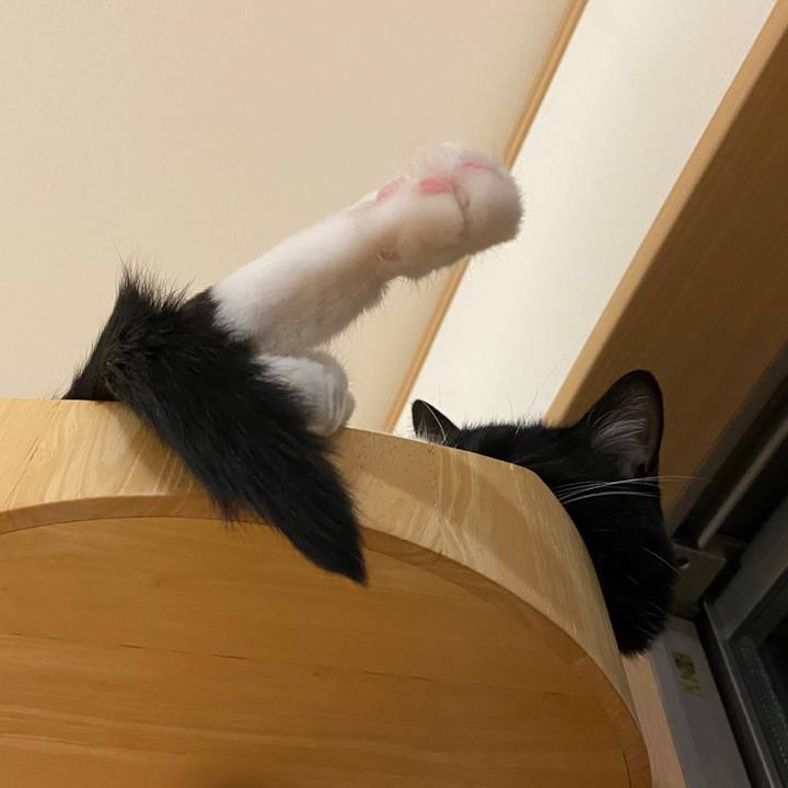 9bdc550b 76ee 4428 900d 2963f885c44b 1631023946109