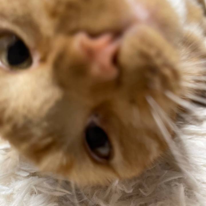 9bdc5ed8 42da 4f1c 93a1 c2af182cc5e3 1629722184961