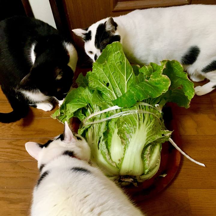 9bdcc2ff 8ee6 490e 9ea1 7ab57455b9ff 1520671458370