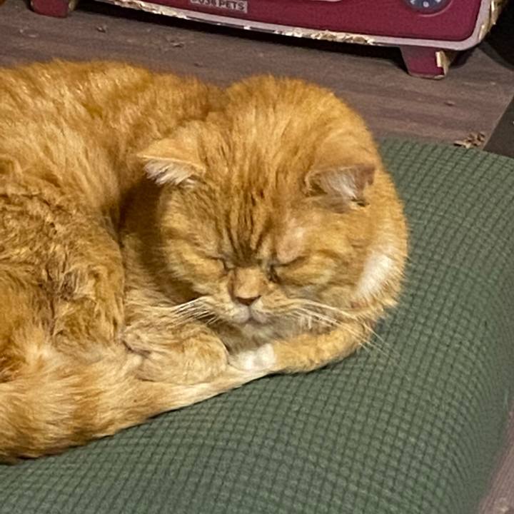 9bdcf5c1 3040 4168 81e8 463c95ebe84f 1673361693082