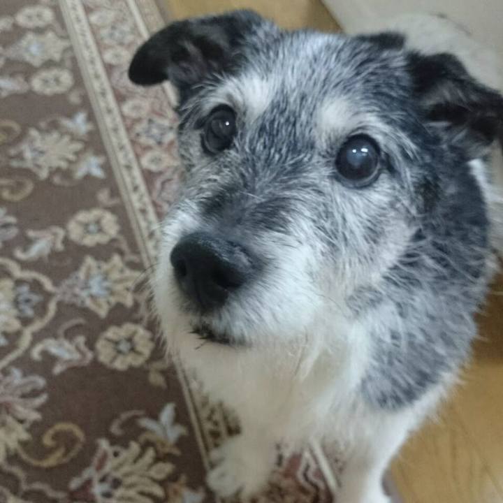 9bdcf953 bd7b 4ae6 bb8b 60c4e1786e16 1682680380005