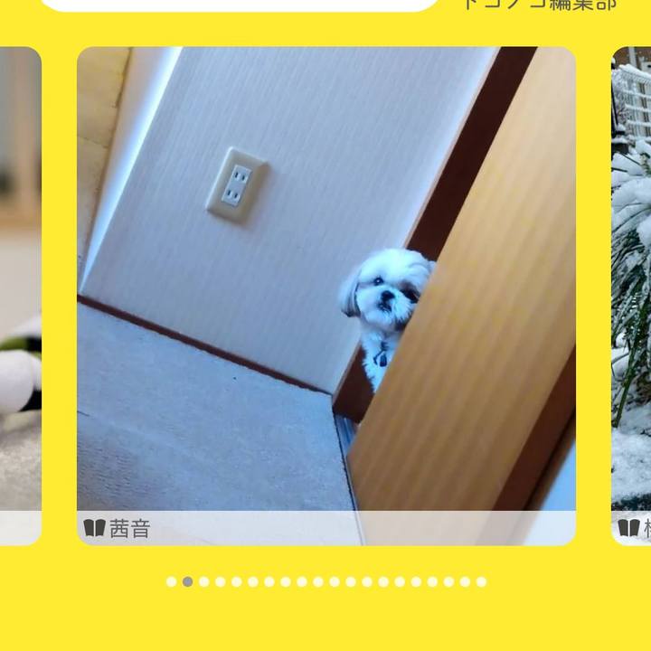 9bdd167d 6dbe 407b a3ff 0cd9acaffbd3 1641910767531