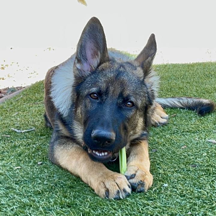 9bdd2d3c 95ec 407a b106 1ac59c415420 1650753223697