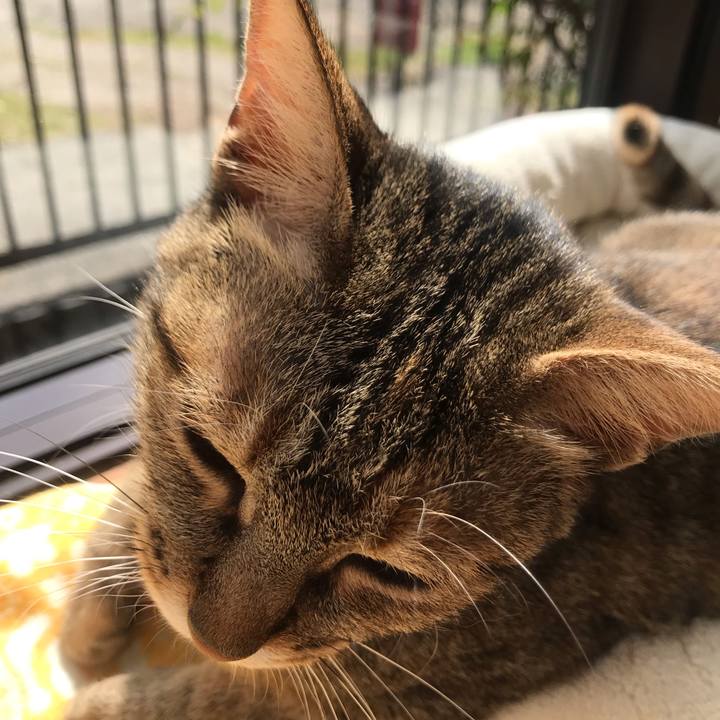 9bdd3970 4565 46f4 9852 b4e43405bb28 1586825025274