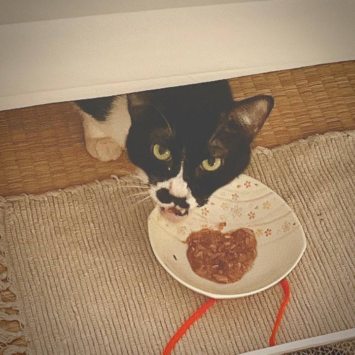 9bdd9fd8 e7f1 4dea 961a da0dc5e3afe5 1662781779459