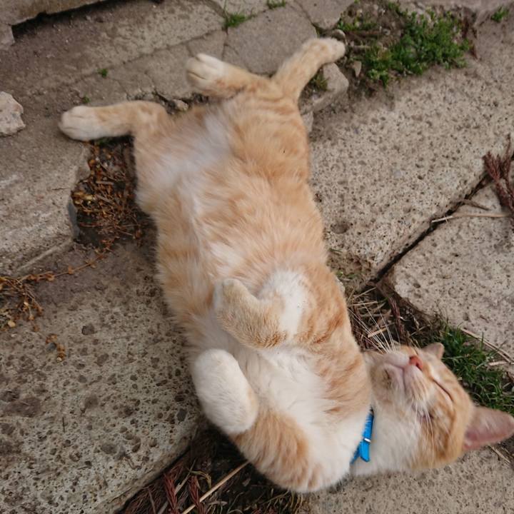 9bddc161 e7a8 46dc ba6c 35177bd6a673 1555238316618