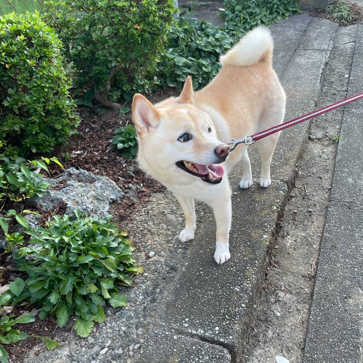 9bdde1b7 61fd 4054 a951 9f405a7b12a4 1660088915102