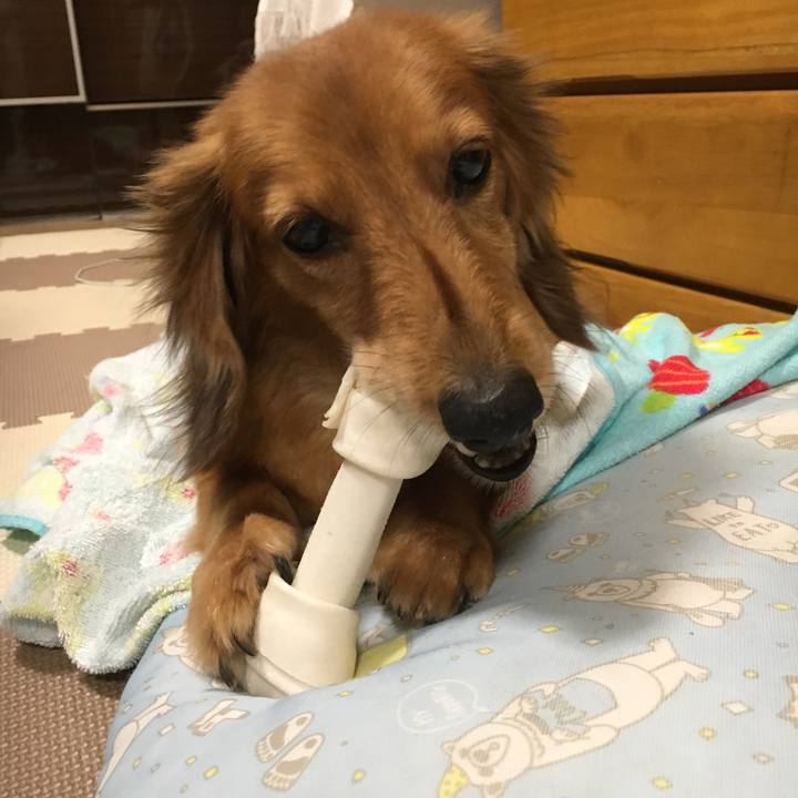 9bde6803 98ec 4446 b044 0cd7375ce548 1535635271400