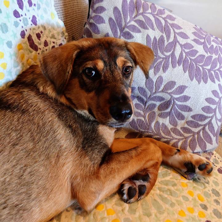 9bde6f65 a3a8 486e 99b3 5aa2121c9ca1 1685763658775