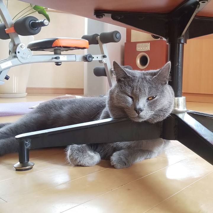 9bdebbdd 4af8 4fff 99dc e6003b4285f4 1536294777286