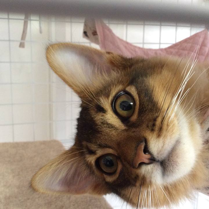 9bdeea9c 56d6 4662 a7a2 c26494c16723 1575693641150