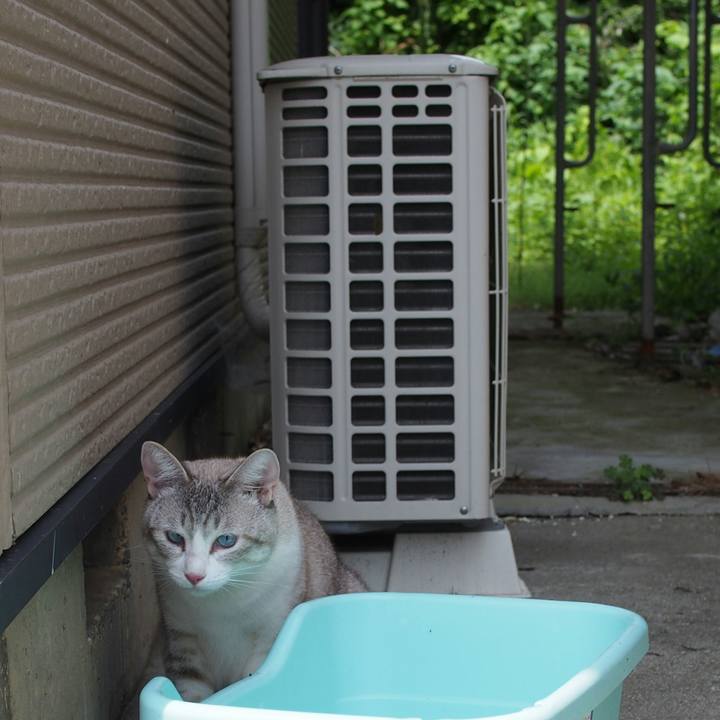 9bdef88c 323e 40ac 83b2 2cd2111a2a0d 1533445942545