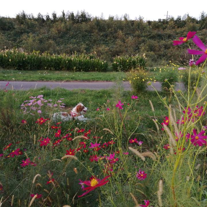 9bdf1980 1253 46e1 b374 d804503cc4ff 1570275116167