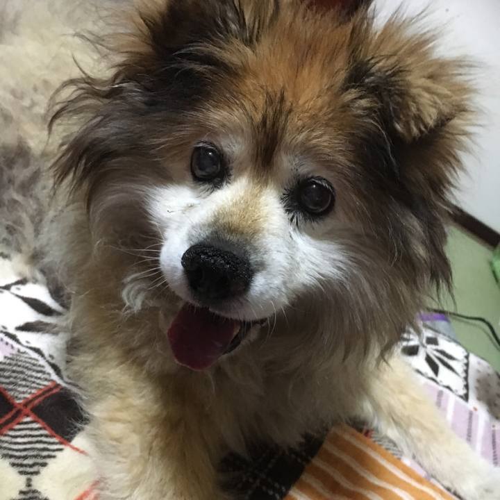 9bdf526c d7f0 4af9 a350 23727800baf5 1585109661276