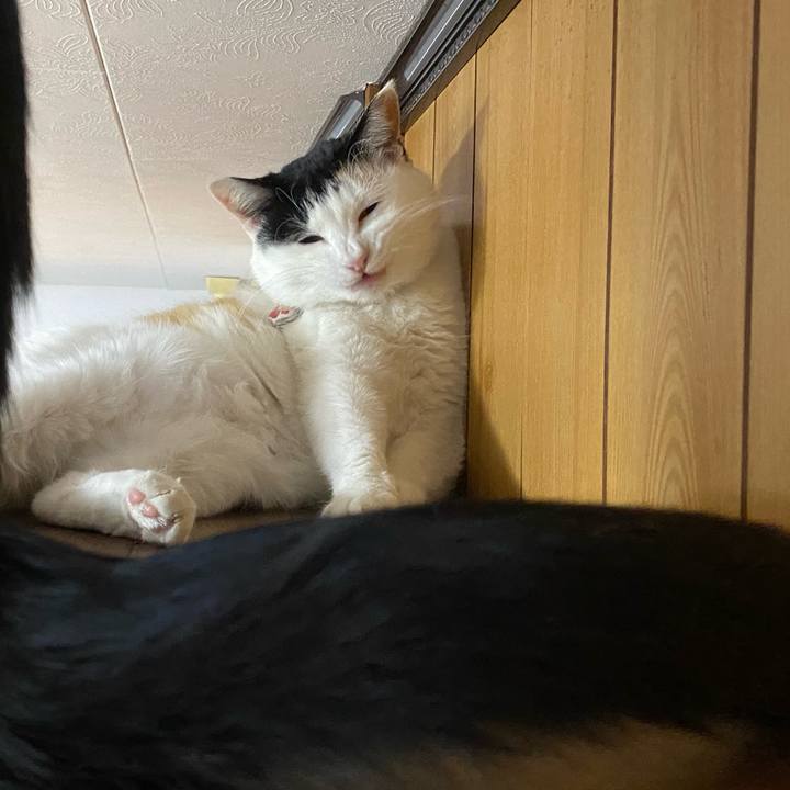 9bdf880e 4543 47e3 b289 19fbe0424a01 1647896595955