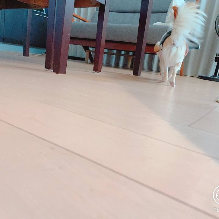 9bdfac97 05dc 4e57 9b24 c0127dbd926f 1618464005624