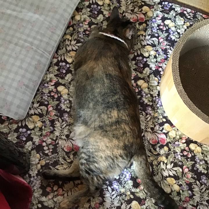 9bdfc7b5 ce5d 43e4 84f9 08a849300b9a 1718163963219