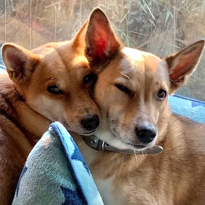 9bdfe032 d331 48af a1ca 7a879ffcff00 1579309636107