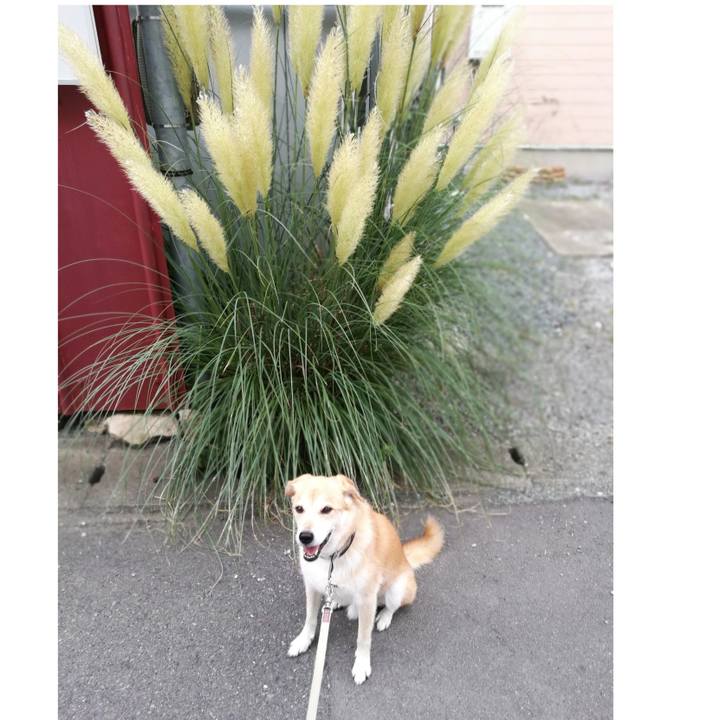 9be011c7 dea9 48da 9984 8a5e6145c1eb 1566387497029