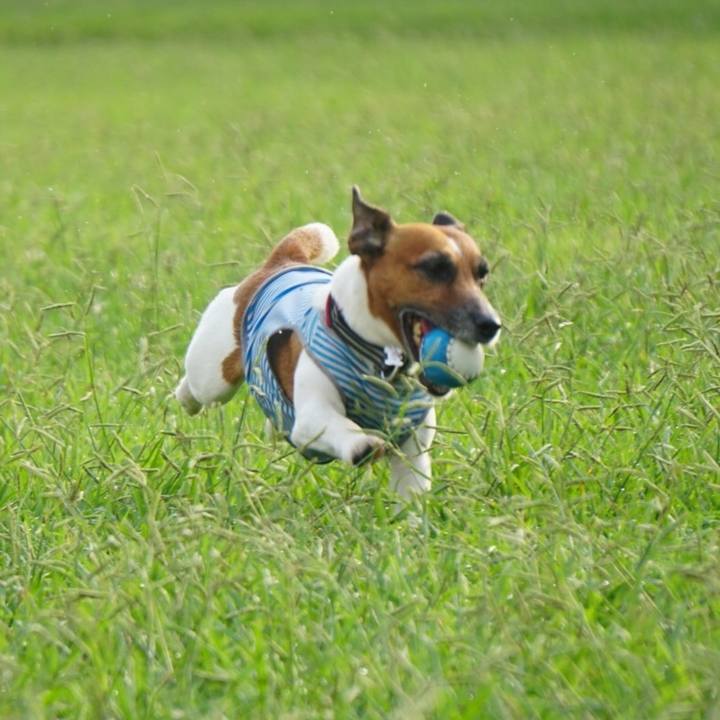 9be0229d 4532 4cea b2dc 7dc3025ea5f4 1566169312935