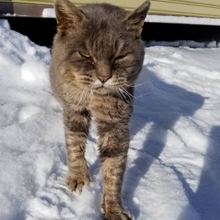 9be03354 8c8f 44e7 b4bf 6a71aeb526f2 1548852110980