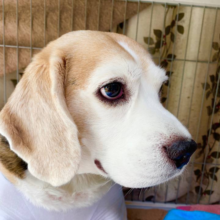 9be08bbc 91d1 4cda bcb6 0a74d872275b 1590212049972