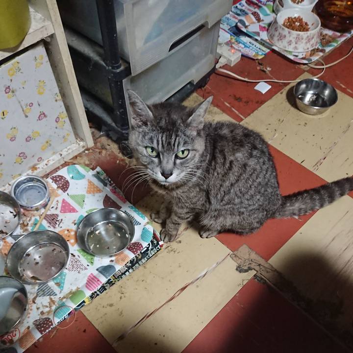 9be0a8ed f7c4 48d8 948c d943d3a488c9 1592383986697