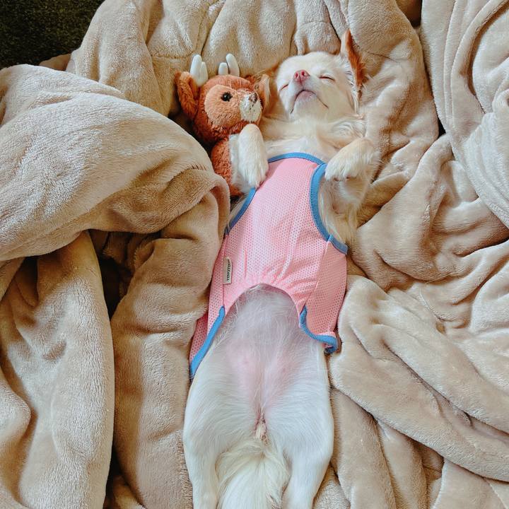 9be0c4df dfd9 4e08 b7bd 9e394ca98a3b 1650943065304