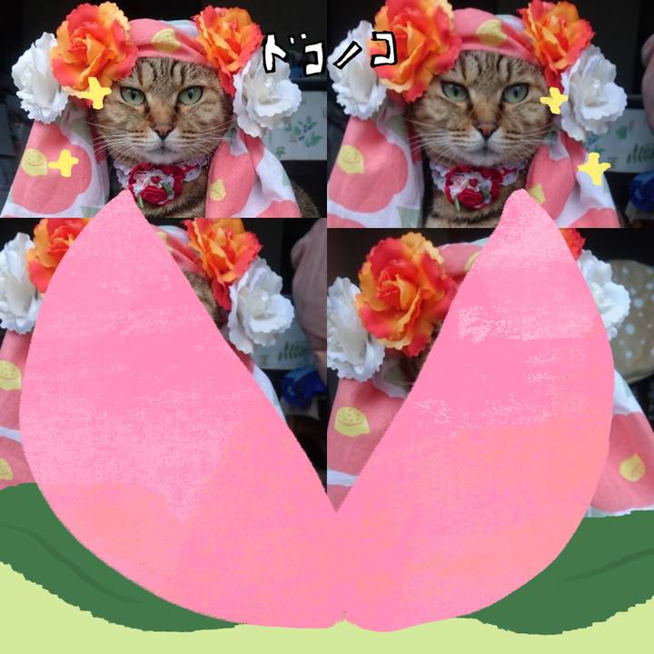 9be0c54b 04f6 4ebf a101 8660b95fdd13 1772406933656