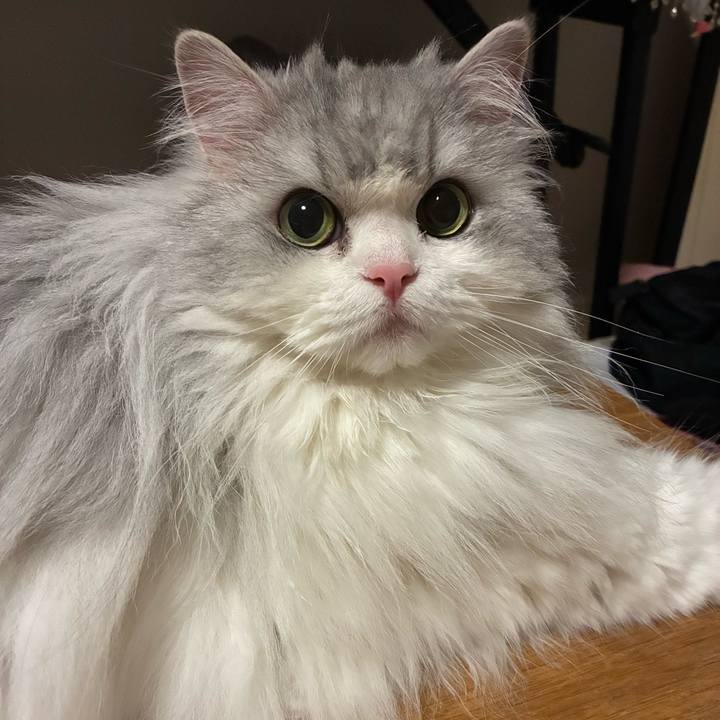 9be0d4d7 3c7c 4a6b 90ae 8bffee505bc3 1765713948613