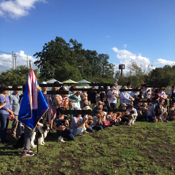 9be0ec4f 1a74 45d4 88b5 d5fe4c1d8e03 1538816228392